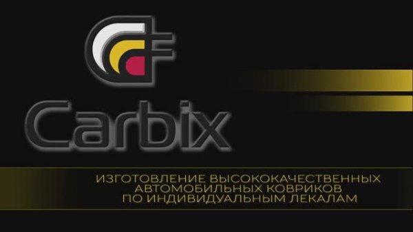 Автомобильные коврики carbix