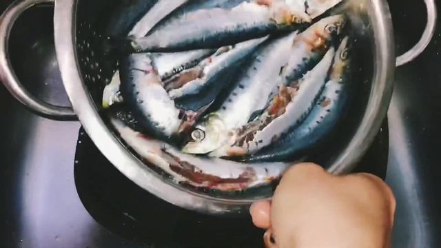 Фотосессии и Моделирование