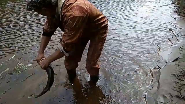 Наши уловистые места! смотреть онлайн