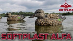 Премиальные чучела уток Softplast Alfa Чирок свистунок