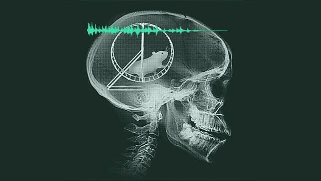Как освободиться от ненужных информационных капканов и очистить разум смотреть онлайн