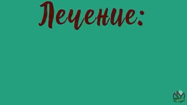 Если ты перестал чувствовать вкус намаза , смотри это видео! смотреть онлайн