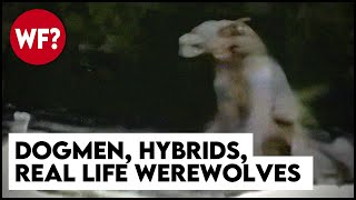 Dogmen, Hybrids, The Beast Of Bray Road