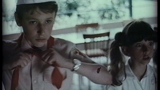 Каникулы Петрова и Васечкина