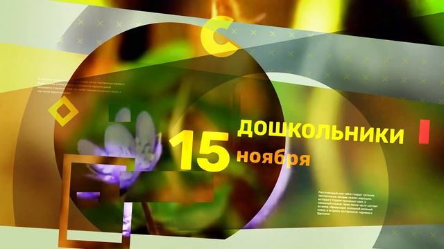 Олимпиада эколят смотреть онлайн