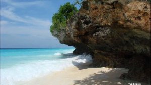 Про нас. Михаил Щербаков, Южный ветер