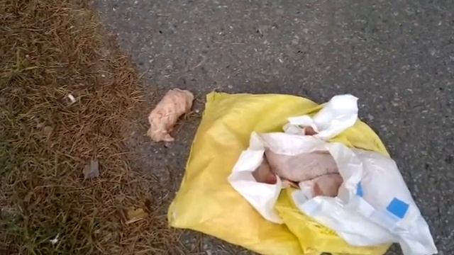 мясо смотреть онлайн