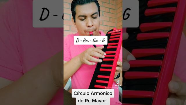 Circulo Armónico de Re Mayor. #hohner #clasesdemusica #colombia смотреть онлайн