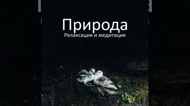 Внутреннее спокойствие смотреть онлайн