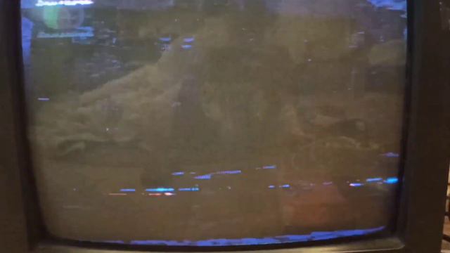 Кусочек спонсора показа (Домашний, 14 февраля 2009) [г.Новокуйбышевск] смотреть онлайн