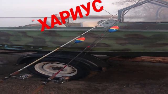 ХАРИУС В СИБИРИ смотреть онлайн