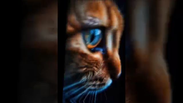 1000004581.mp4 смотреть онлайн