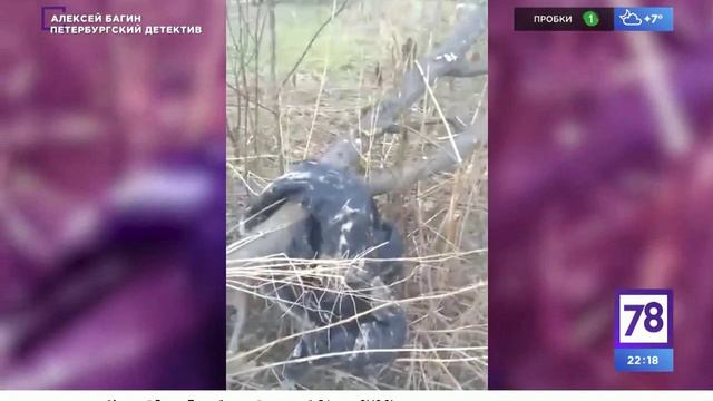 А.Багин Вспоминая о Диме