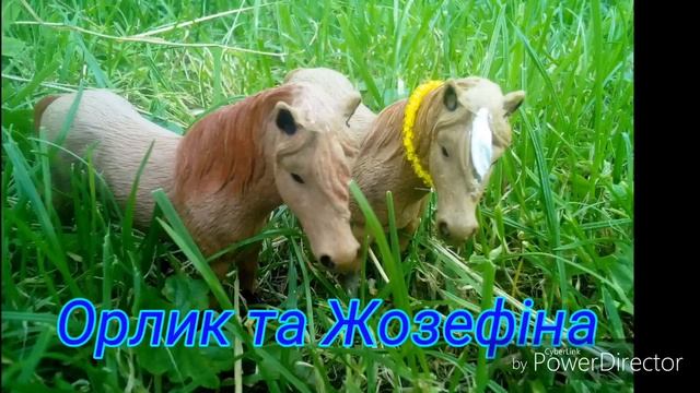 Фото коней смотреть онлайн