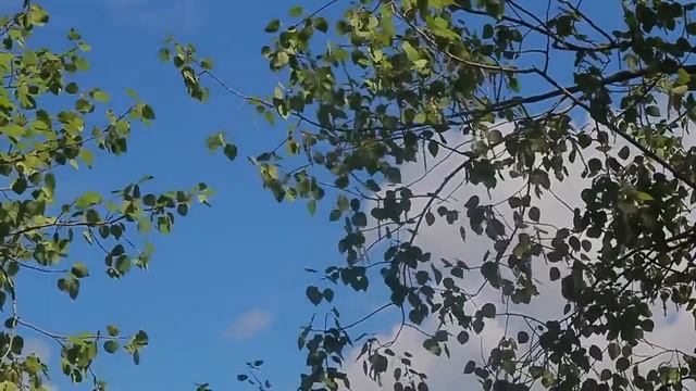 Байдарочный поход по Северному Байкалу смотреть онлайн