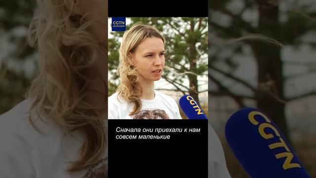#ЛюдиДела (86) Редис и сюрприз! смотреть онлайн