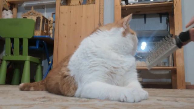 Если утром так – это хорошо. Только будь со мной всегда ласков. смотреть онлайн