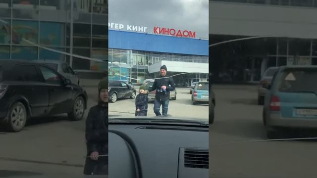 Цвергшпиц (померанец) счастья полные штаны! смотреть онлайн