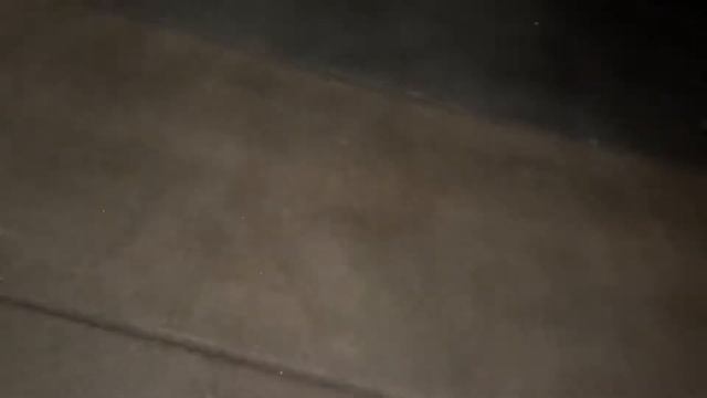 Осмотр Volkswagen Golf FL 2017 года в полной комплектации с Аукциона с Бельгии в Германии