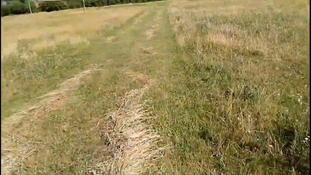 Как всегда планы меняются,жучки на картошке,еду за отравой. смотреть онлайн