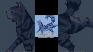 История Ласточки/Коты-воители