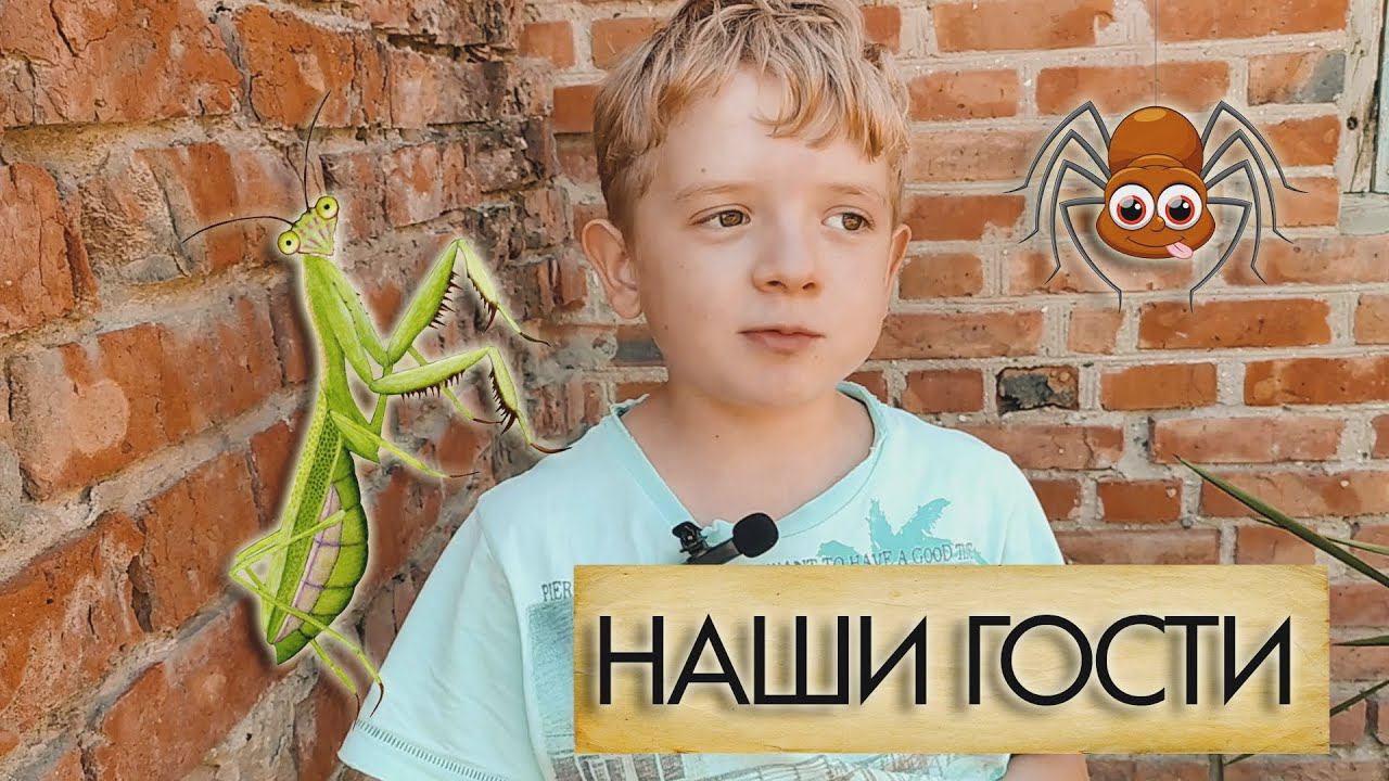 Наши гости смотреть онлайн