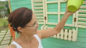 Видео привет с 6 соток в начале июня. 2023 год.