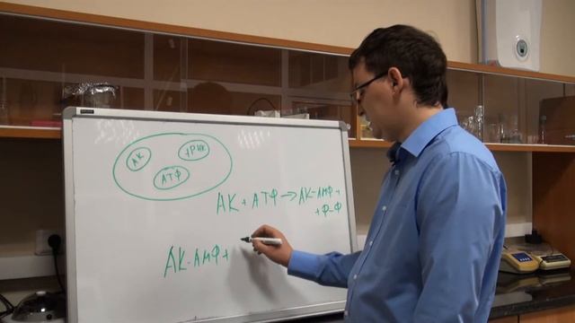 Трансляция. Часть 3. "Рекогниция" смотреть онлайн