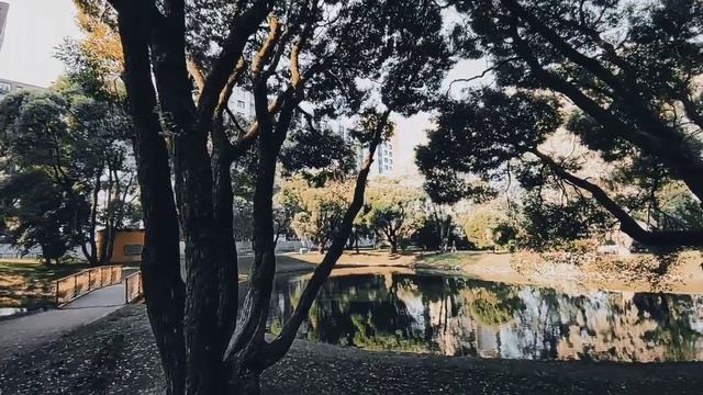 VID 20220712 082748 Ты смотришь в очи ясным зорям...(А. Блок)...Павел Васильев Лахтинский