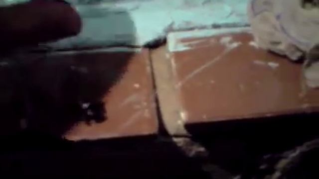 Жук Носорог (Писк Детёныша) смотреть онлайн