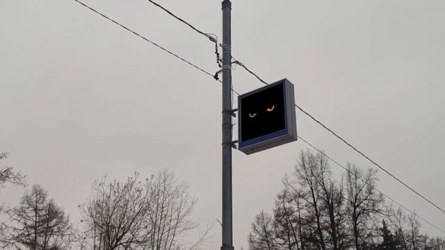 Китайский Новый Год в Москве 🐲 смотреть онлайн