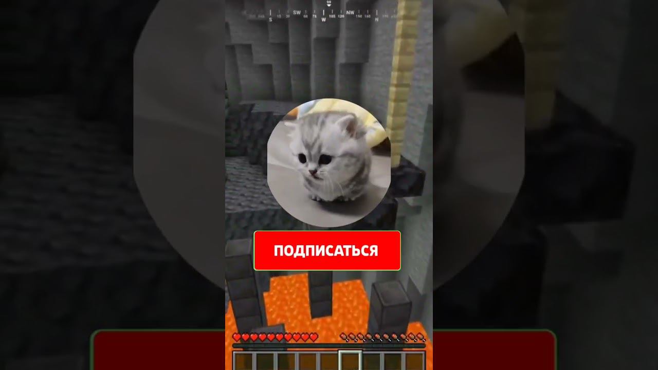 Если ты слышишь этот звук #shorts смотреть онлайн