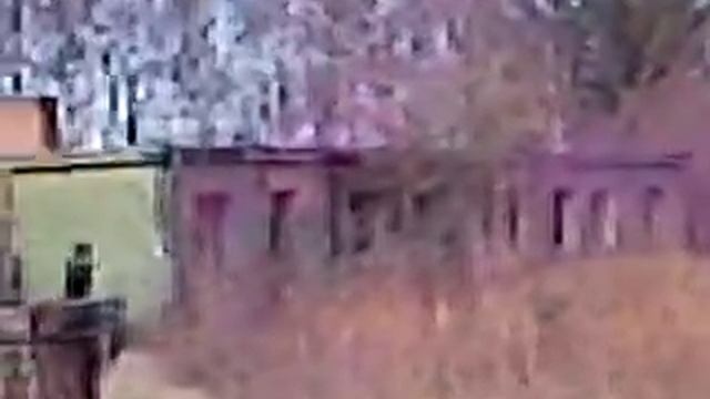 Paintball wagenfeld смотреть онлайн