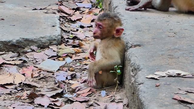 Libby's mother is very smart, Leo. Leo is in a lot of pain, her face is full of dirt. смотреть онлайн