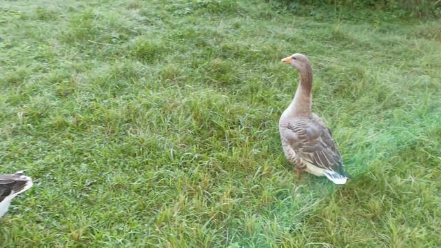 Искусство и Продуктивность