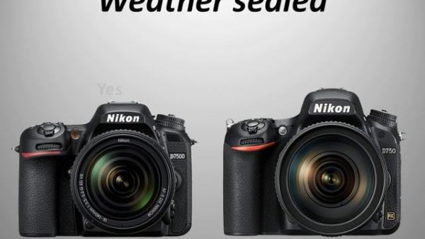 Nikon D7500 vs Nikon D750