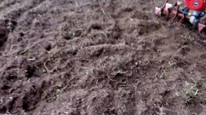 Мотоблок Кадви «Угра» НМБ-1Н7 + навесное ВРМЗ + целина или «Летопись нашего картофельника»
