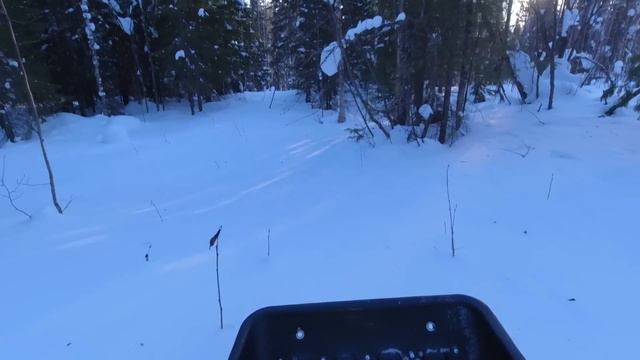 ПРОЕДЕТ ТАМ ГДЕ СМОЖЕТ ПРОЙТИ ТОЛЬКО ЛЫЖНИК / МОТОТОЛКАЧ АЛЬБАТРОС 9 ЛС. ПО ЛЕСУ ИДЁТ СПОКОЙНО. смотреть онлайн