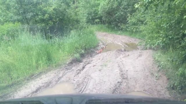 Июльские грязи смотреть онлайн