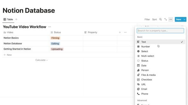 How to Create a Database in Notion for YouTube Videos 2023 смотреть онлайн
