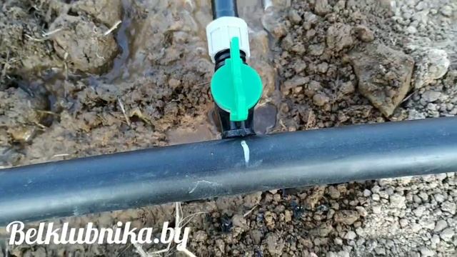  смотреть онлайн