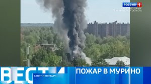 Вести Санкт-Петербург. Выпуск 14:30 от 23.05.2024