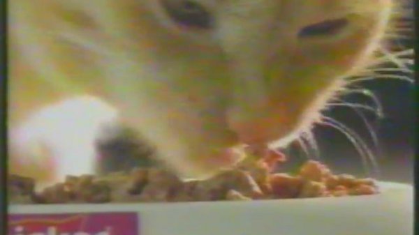 Whiskas cat food 90's commercial