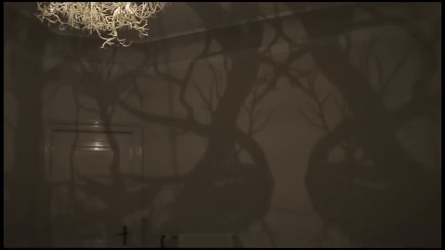 forms in nature / Hilden Diaz Light Sculpture смотреть онлайн