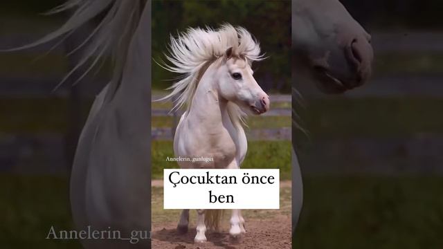 #шорт #видео #реелс смотреть онлайн