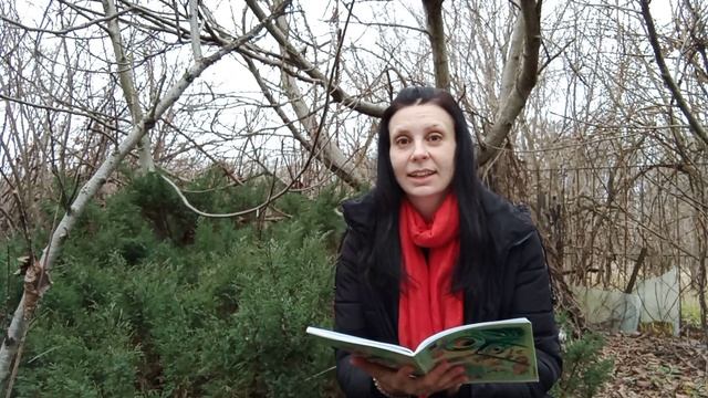 Практика подготовительная. Развитие осознания психических каналов. Передний психический канал. смотреть онлайн