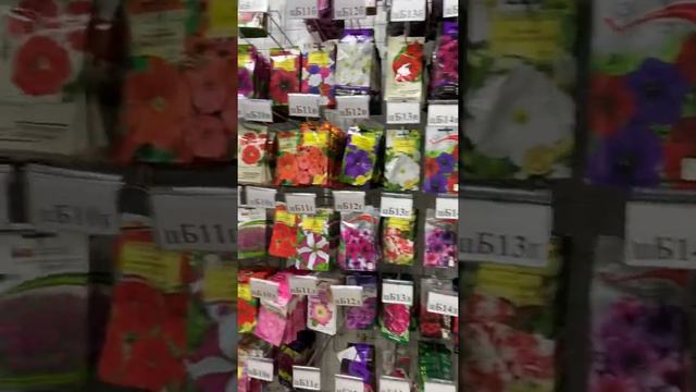 Более 300 сортов Петуний со скидкой 30%! Чёрная пятница только до 30 ноября!