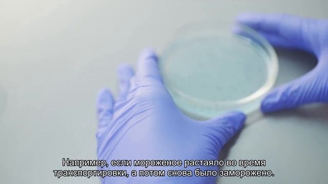 В мороженом из петербургских магазинов не нашли молока смотреть онлайн