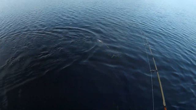 Рыбалка в тумане.Ловля щуки осенью. смотреть онлайн