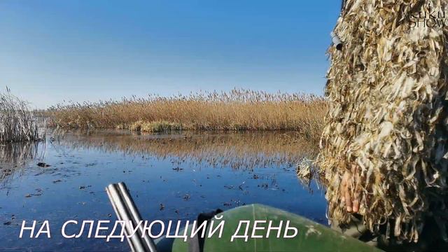 ВЕСЕННЯЯ ОХОТА В ЛЮБИНСКОМ РАЙОНЕ 2022 смотреть онлайн